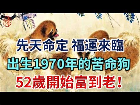 1970屬狗十年運勢|1970年是什麼生肖？70年生人命運如何？五行屬釵釧。